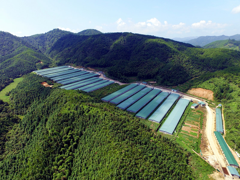 28圈-28圈平台官方网站-相信品牌的力量