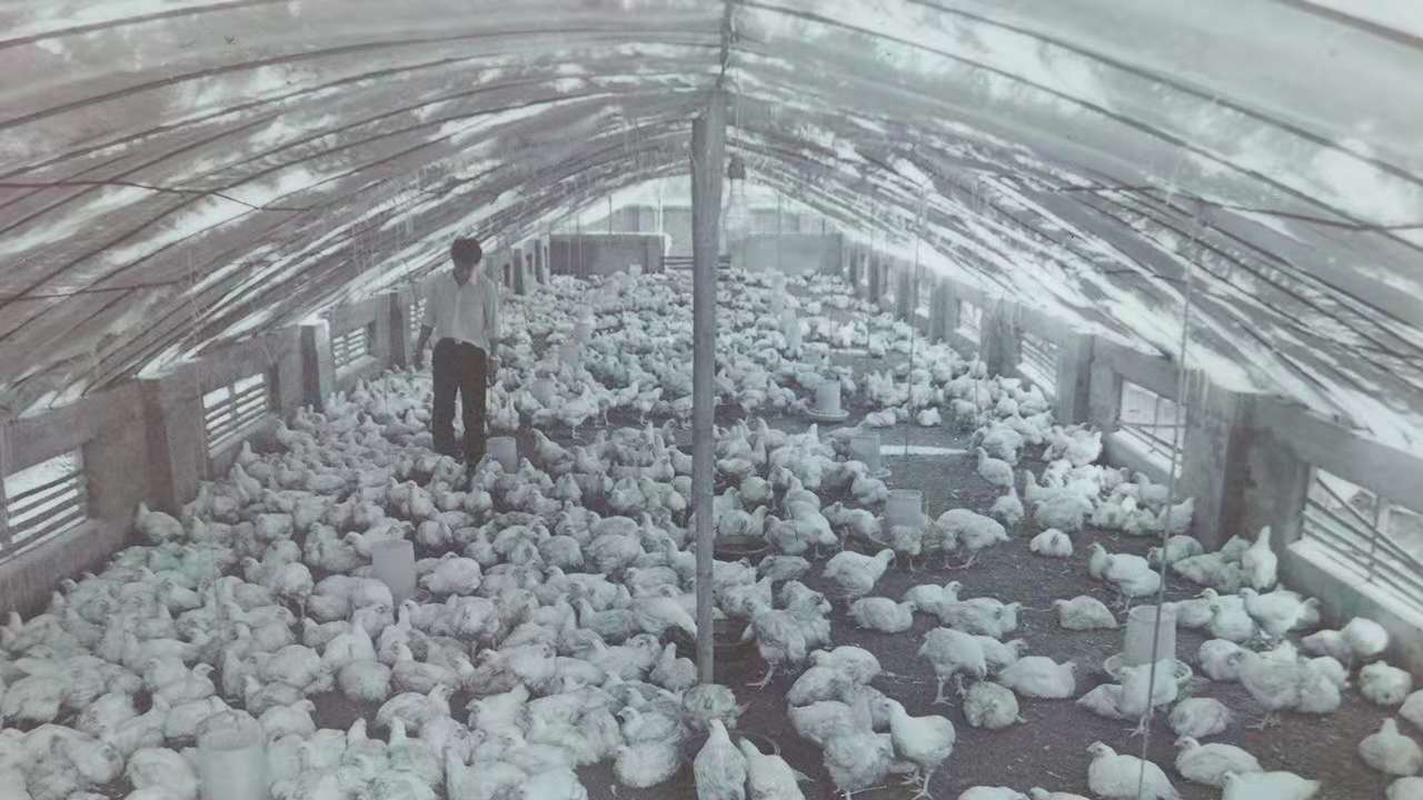 28圈-28圈平台官方网站-相信品牌的力量