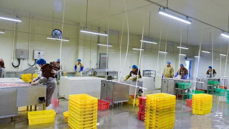 28圈-28圈平台官方网站-相信品牌的力量