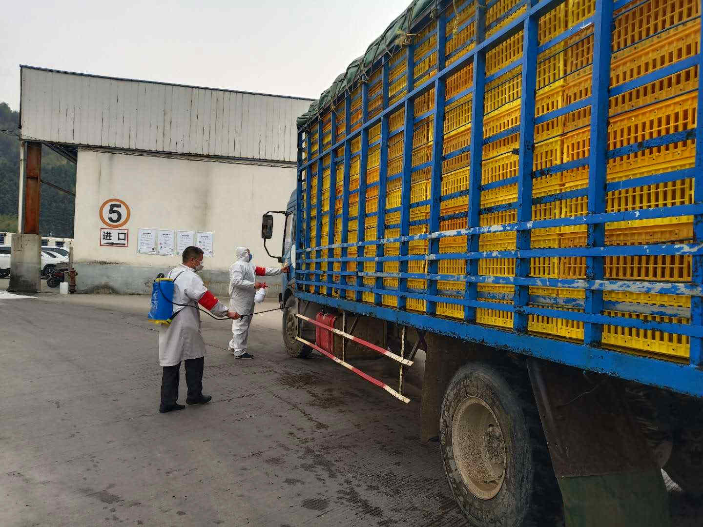 28圈-28圈平台官方网站-相信品牌的力量
